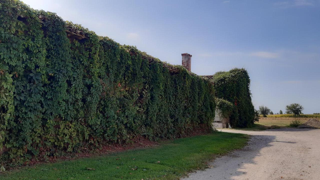 B&B Santa Cristina Montichiari Kültér fotó